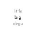 Little big degu