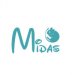 Midasdegu