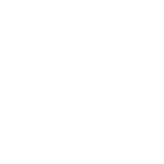 Logo Amazing Degu Svinařov