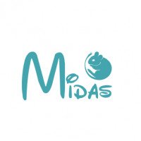 Logo Midasdegu